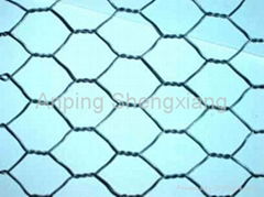 hexagonal wire netting