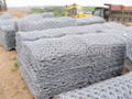 hexagonal wire netting 2