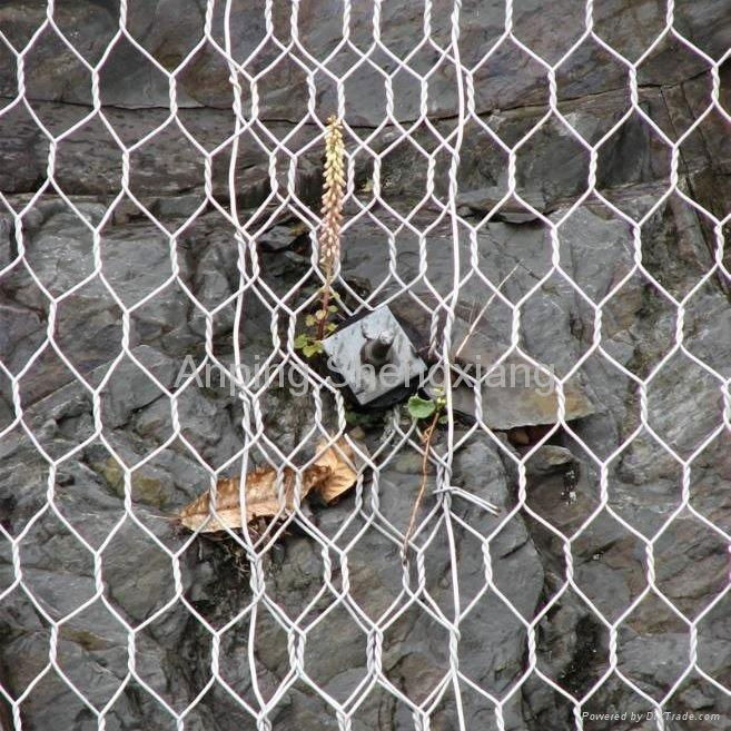 hexagonal wire netting 3