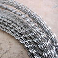 Razor Barbed Wire CBT-65 5