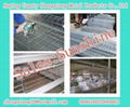 galvanized chicken layer cage