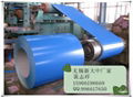 prepainted galvanized steel coil 1