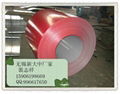 pre-painted galvanized steel coil