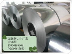 hot dip galvanized steel coil