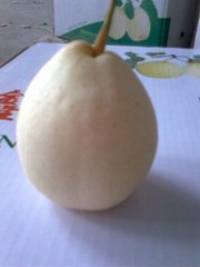 ya pear 