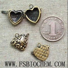 photo lockets Wish lockets