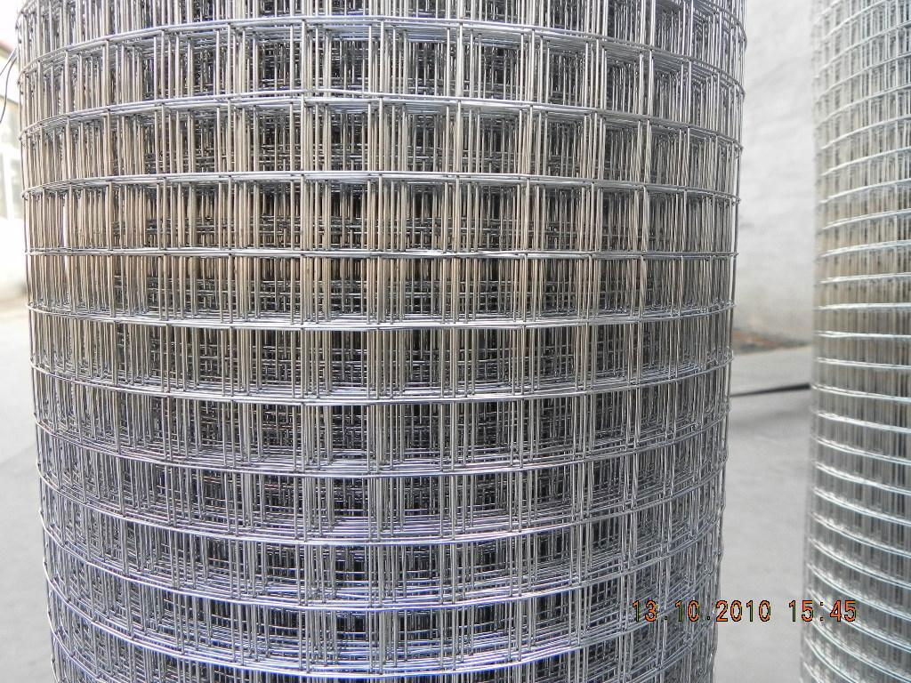 welded wire mesh  3