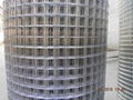 welded wire mesh  3