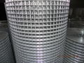 welded wire mesh  5