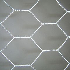 Hexagonal wire mesh