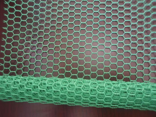 Hexagonal wire mesh 5