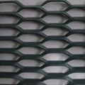 Expanded metal mesh 4