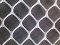 Plastic Netting 1