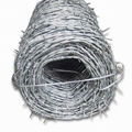 barbed wire 5