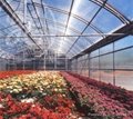 陽光板農業溫室大棚