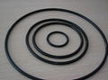 rubber O ring 5