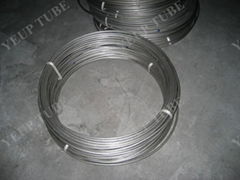 Coil Tube-Stainless Steel Seamless Tube/Pipe