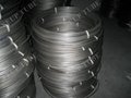 Coil Tube-Stainless Steel Seamless Tube/Pipe 2