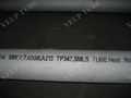 TP347 Stainless Steel Seamless Tube/Pipe