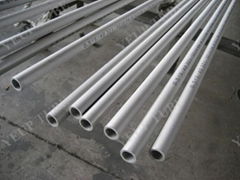 TP321 Stainless Steel Seamless Tube/Pipe