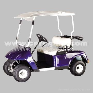  2 SEATS-RGE500  Golf car with CE approved 3