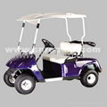  2 SEATS-RGE500  Golf car with CE approved 3