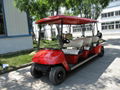 6 Seater golf cart RGE500T with CE