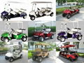 6 seater golf cart -RGE500T  4