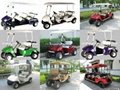 6 Seater golf cart RGE500T with CE approval GOLF B   Y/CLUB CART 4