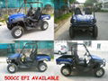 500cc UTV EFI Available