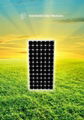 190w Monocrystalline Solar Panel / Module 3