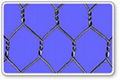 Hexagonal Wire Mesh 2