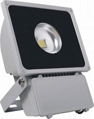 LED FLOOD LIGHT