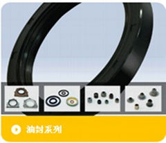 oil seal serial