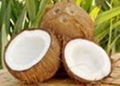 Tender Coconuts 1