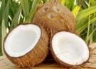 Tender Coconuts