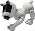 Gift toys cartoon webcam