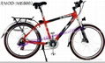 electric bicycle/AMOD-MEB 4