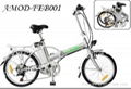 electric bicycle/AMOD-FEB 1