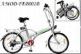 electric bicycle/AMOD-FEB 2