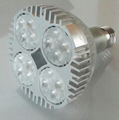 LED Par 30 light