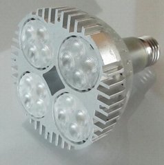 LED Par 30 light