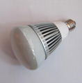 LED Dimmable  Par30 Light