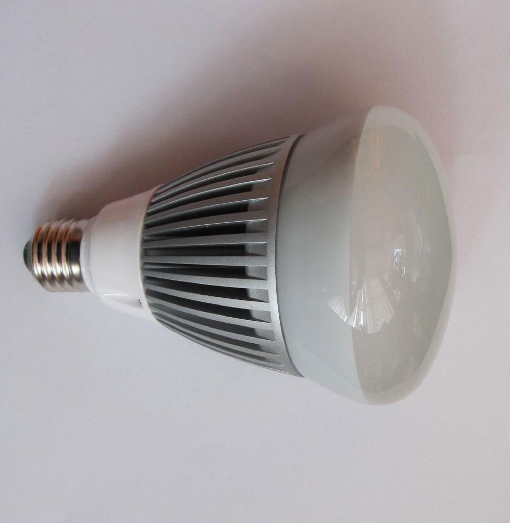 LED Dimmable  Par30 Light 2