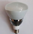 LED dimmable Par30 light 1