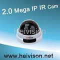 2.0 Megapixel IP IR Dome Security Camera 2