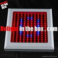 150W LED Grow Light 1