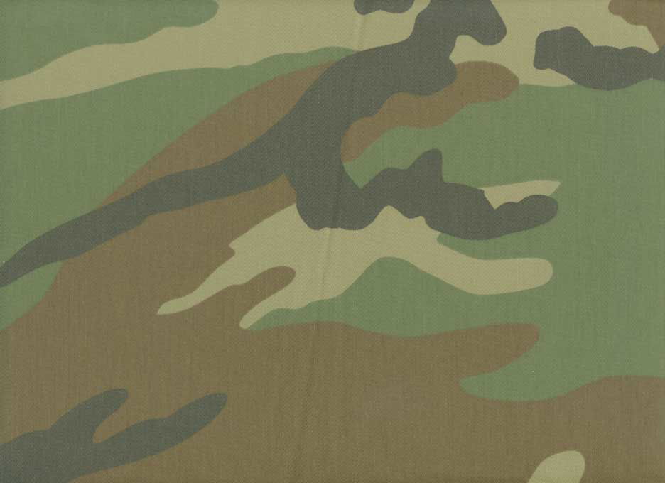 Anti-Infrared Reflection Camouflage Fabric 5