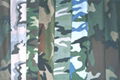 Various Cotton/blended camouflage fabrics 2