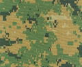 Marine Digital Camouflage Fabric 1